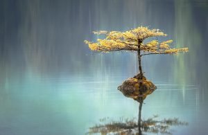 Deep Meditation for Mind Clarity