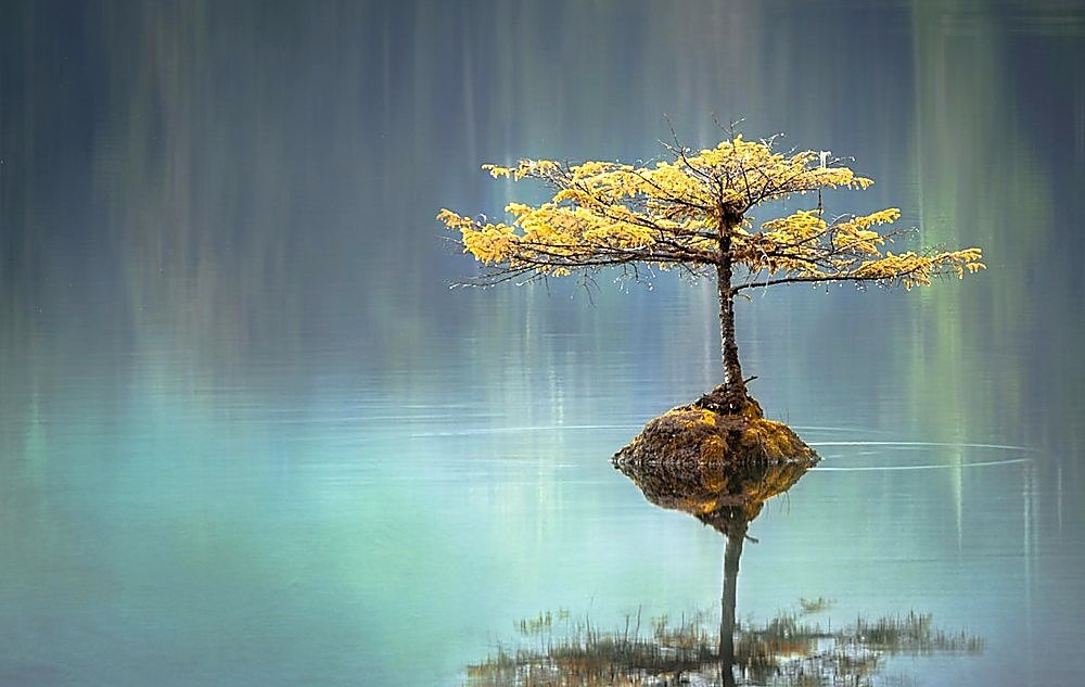 Breath & Relaxation – 15 min session